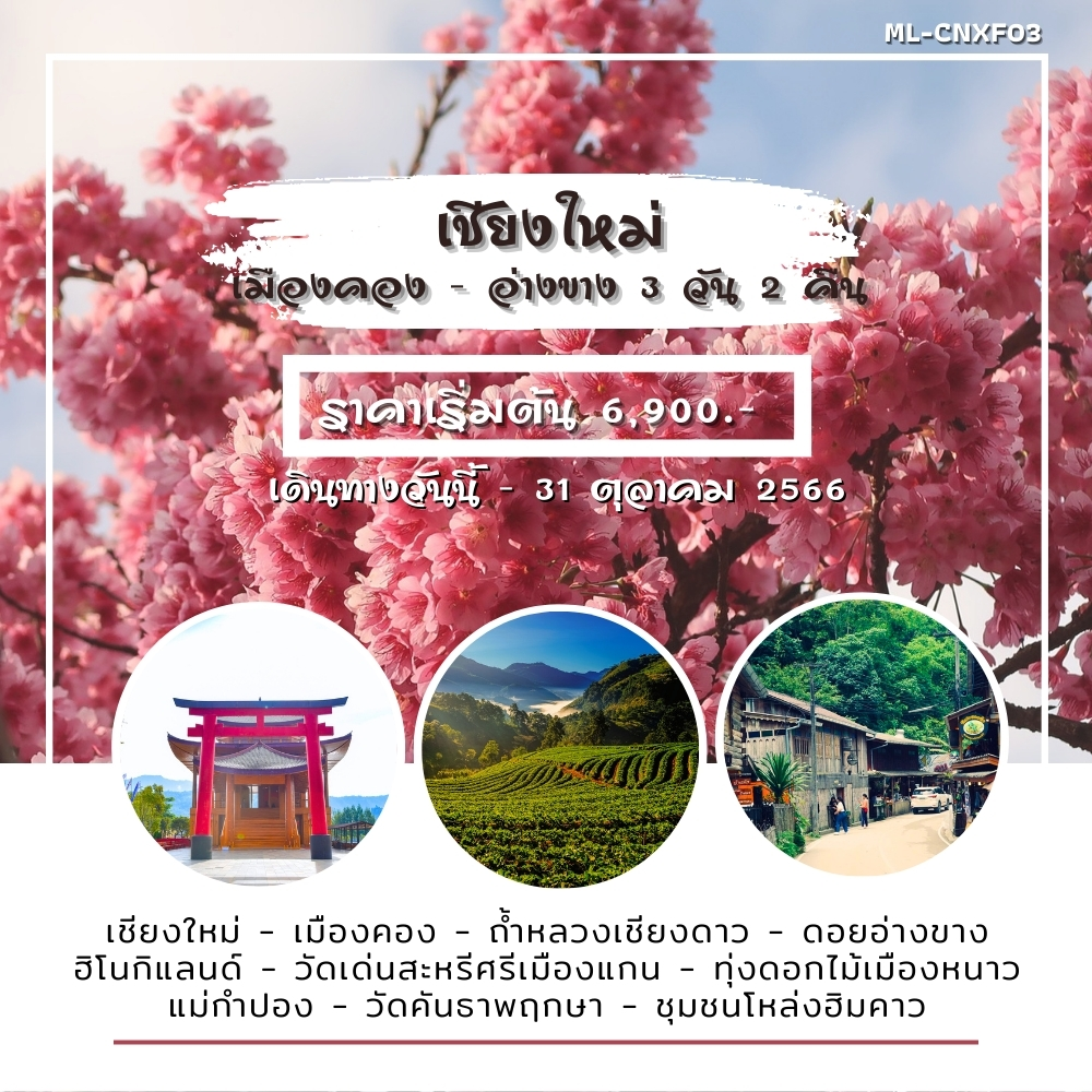 ทัวร์เชียงใหม่ เชียงดาว เมืองคอง ดอยอ่างขาง 3วัน 2คืน